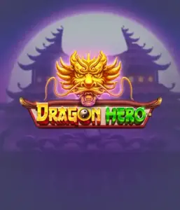 Join a fantastic quest with Dragon Hero Slot by Pragmatic Play, highlighting vivid graphics of mighty dragons and epic encounters. Discover a world where fantasy meets excitement, with featuring treasures, mystical creatures, and enchanted weapons for a mesmerizing gaming experience.